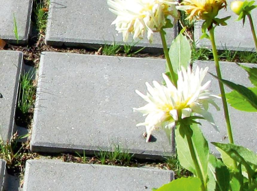 EKO-BRUK kolor szary - TB Kostka Brukowa