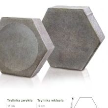 Trylinka wklęsła - zdjecie 1