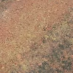 Classic płyta gładka kolor melanż - TB Kostka Brukowa